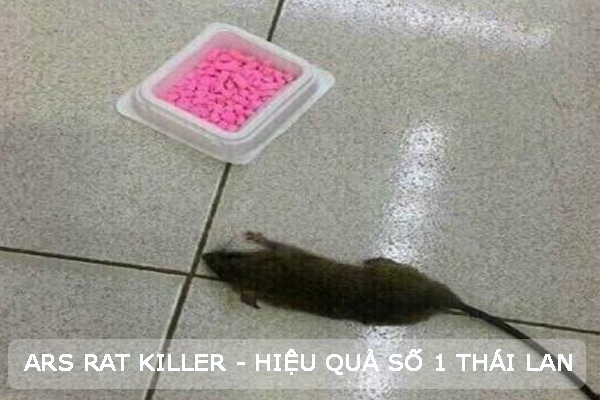 ARS RAT KILLER hiệu quả số 1 Thái Lan